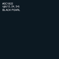 #0C1822 - Black Pearl Color Image